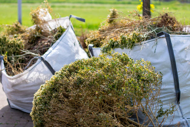 Best Electronics Removal Services  in Elon, NC